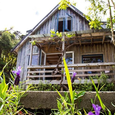 Fern Lodge Coromandel エクステリア 写真