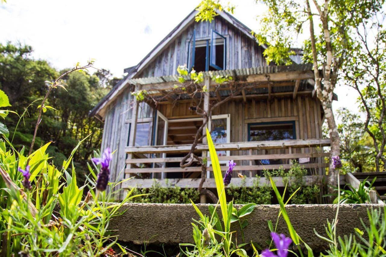 Fern Lodge Coromandel エクステリア 写真