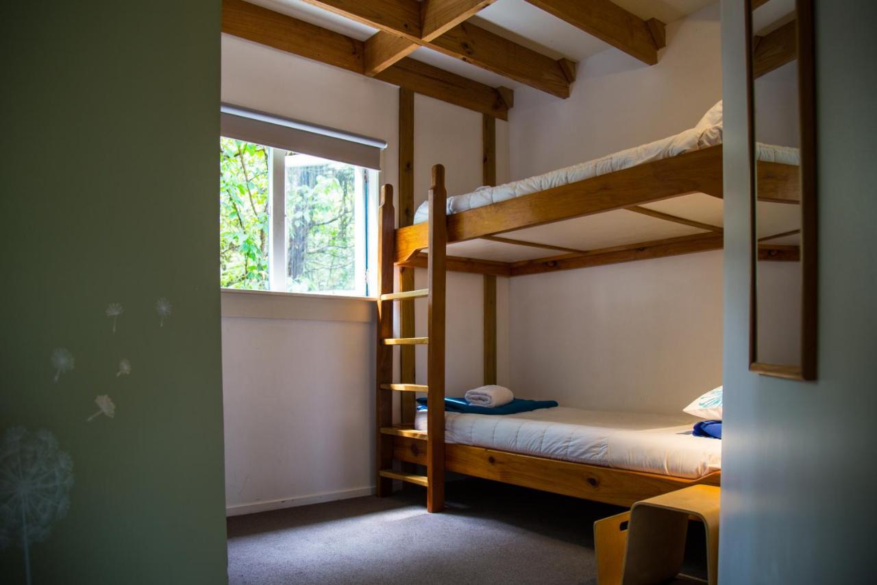 Fern Lodge Coromandel エクステリア 写真